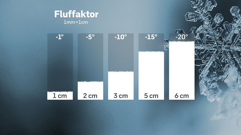 Fluffaktorn