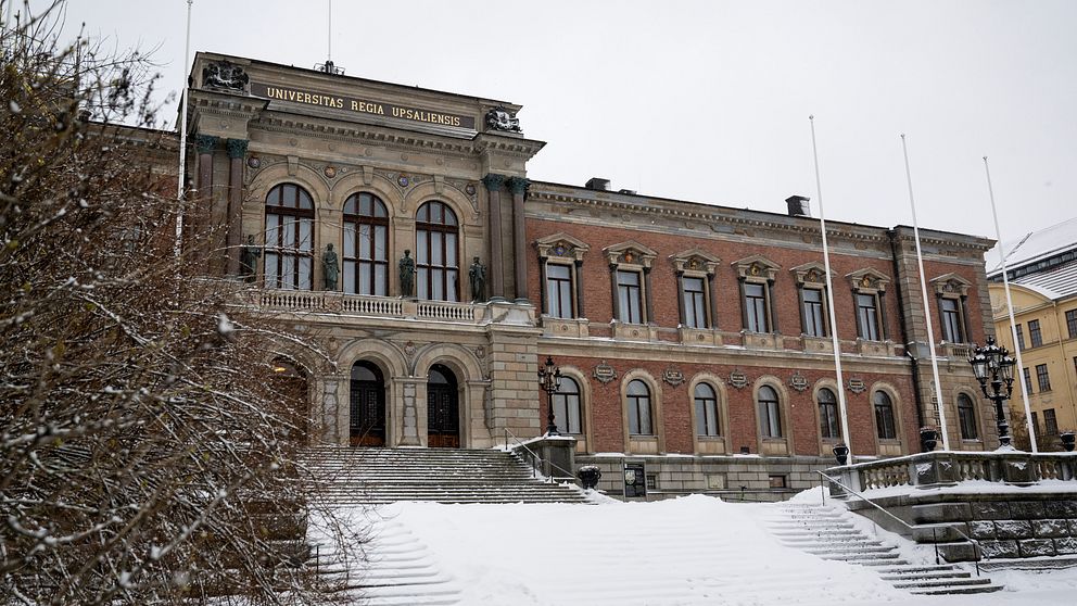 Uppsala universitets huvudbyggnad med snöbeklädda trappor och buskar i förgrunden, mot en grå vinterhimmel.