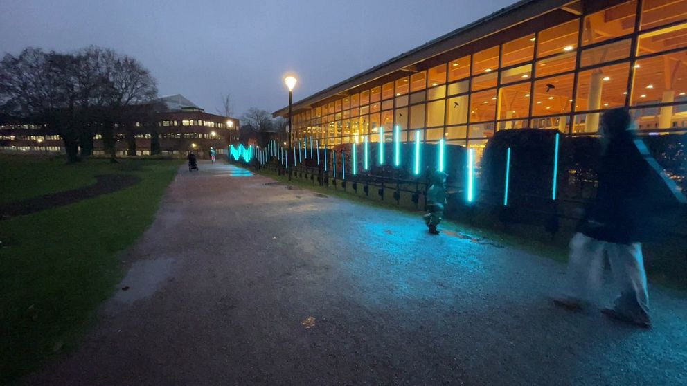 Ljusinstallationer lyser upp gångväg vid Vinterljus i Linköping på kvällen.