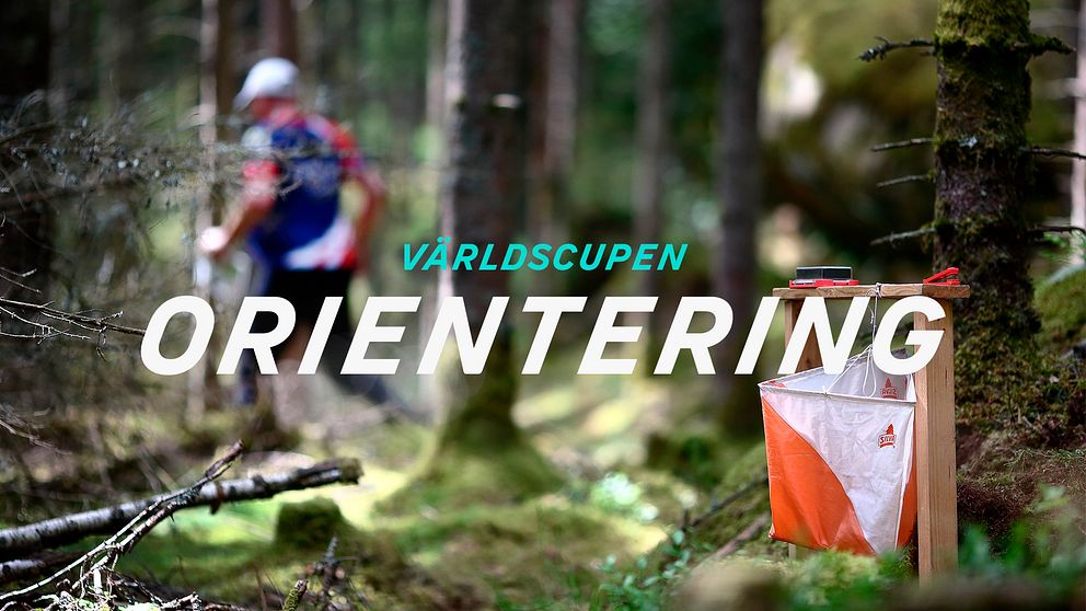 Närbild på en orienteringskontroll i skogen
