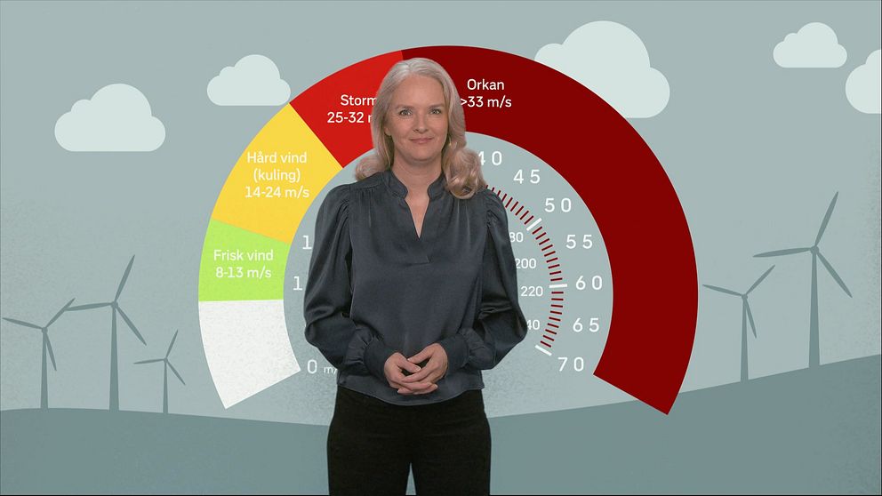 Meteorolog Jannicke Geitskaret förklarar väderord om vind