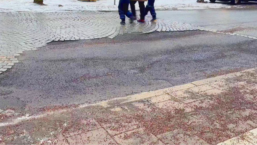 Gropiga vägar, centrala Örebro, potthål