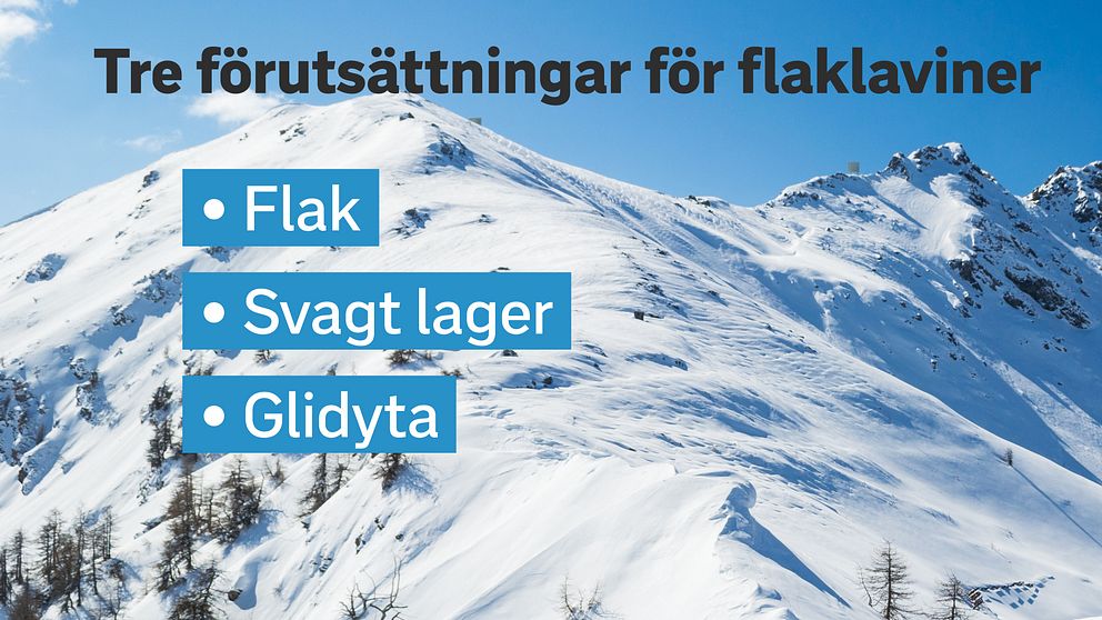 Faktorer vid flaklavin
