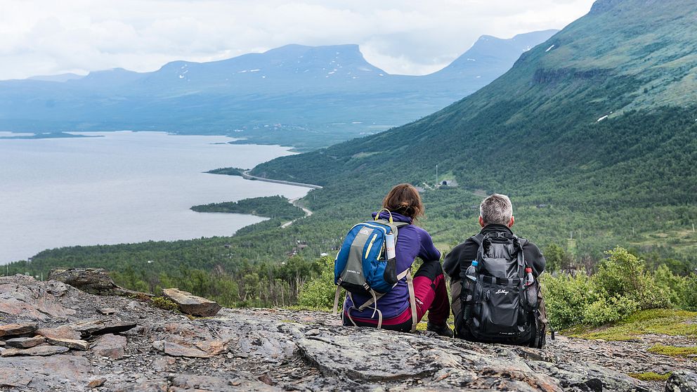 I klippet: Renskötaren Niklas Labba ger sina bästa råd till dig som ska besöka fjällen.