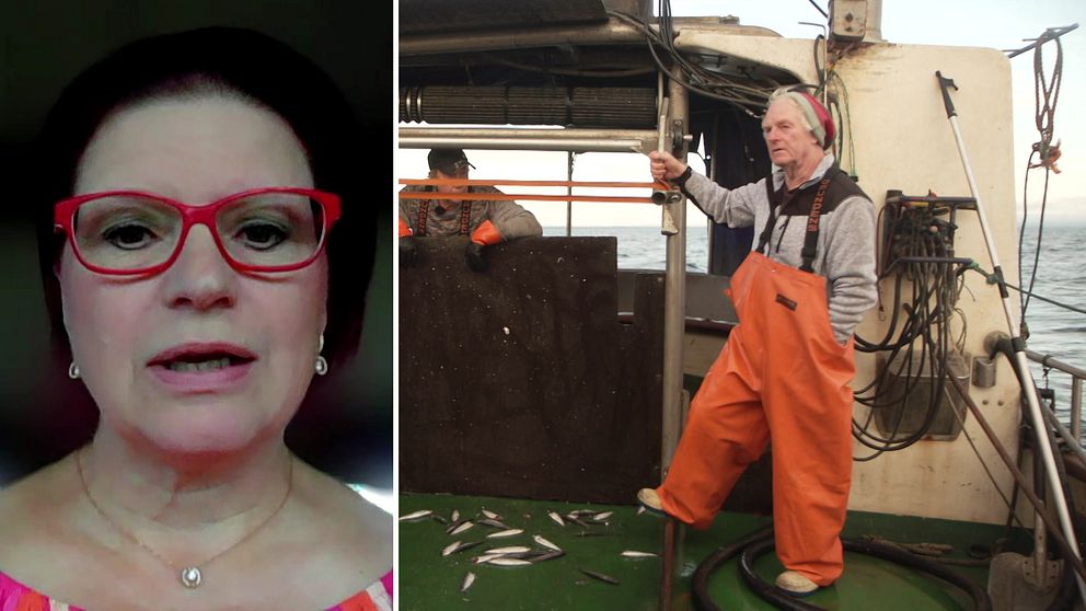 Teija Aho, vice ordförande i Sveriges fiskares producentorganisation.
