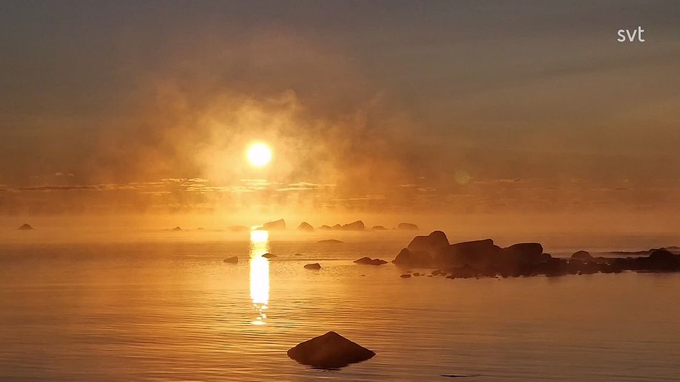 Soluppgång bakom sjörök över Sörfjärden Hälsingland