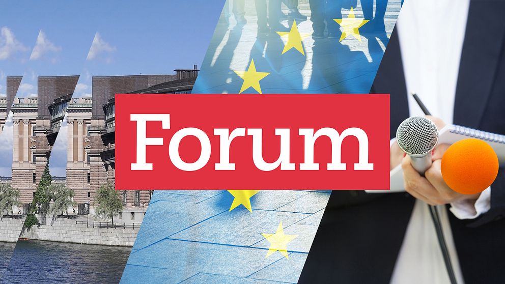 Tredelad bild. Till vänster: Riksdagen. I mitten: EU:s flagga. Till höger: Businessman med mikrofoner.