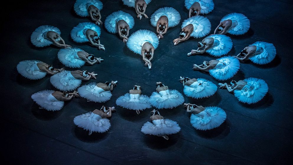 En grupp av ballerinaer i vita ballerindräkter framför en mörk bakgrund. De är arrangerade i en cirkel och utför en synkroniserad dans, vilket skapar en visuell effekt av rörelse och harmoni. Ljuset faller på dem och skapar en stämningsfull atmosfär.
