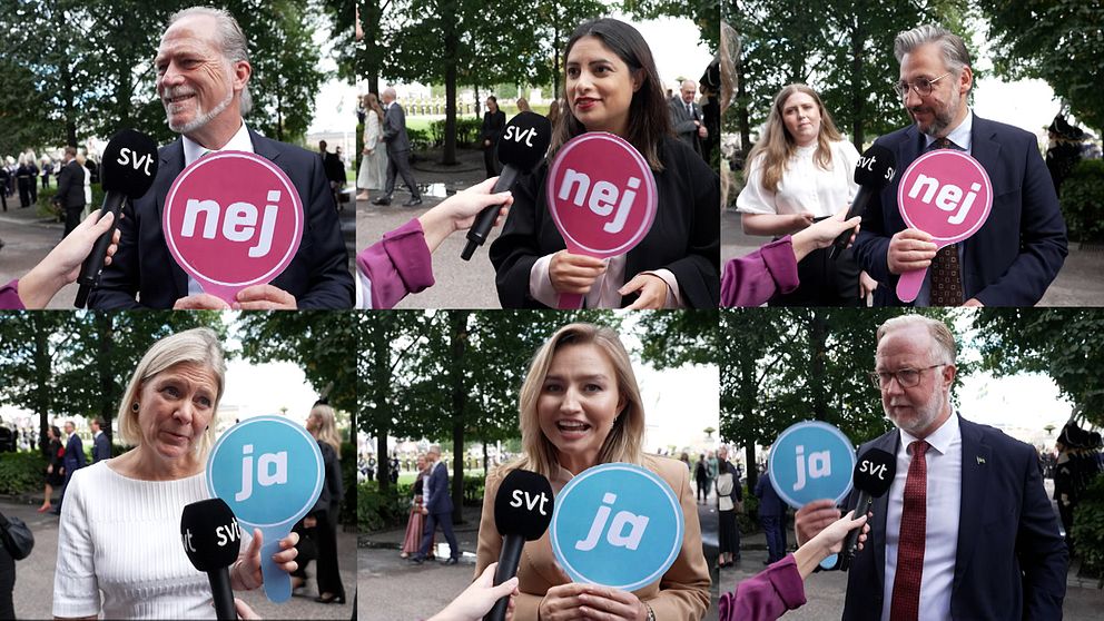 Mobilförbud i skolan – Lilla Aktuellt frågar partiledarna | SVT Nyheter