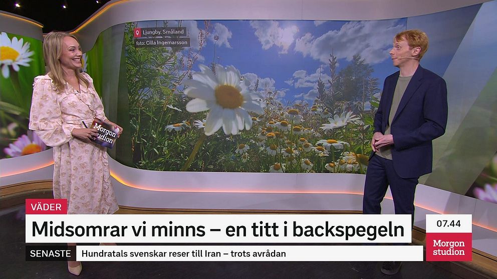Snack om midsommarväder vi minns i Morgonstudion den 20 juni 2024