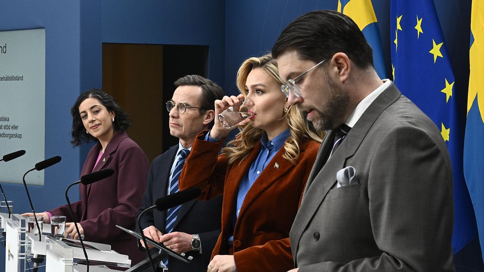 Ulf Kristersson : ce qu'il faut savoir — image 6