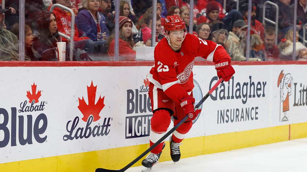 Hockeyspelare i röd tröja med nummer 23 för Detroit Red Wings, som sköter pucken under en match på isen, med fans i bakgrunden. Reklamtavlor syns längs sargen, inklusive logotyper för Labatt och Gallagher Insurance.