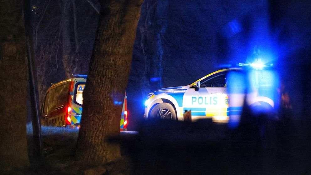 Polisbil med blåljus bland träd på kvällstid.