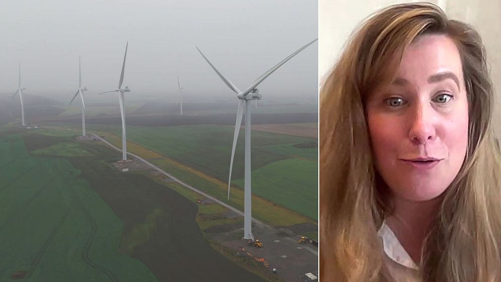 Forskare Sofia Axelsson vid statsvetenskapliga institutionen vid Göteborgs universitet.