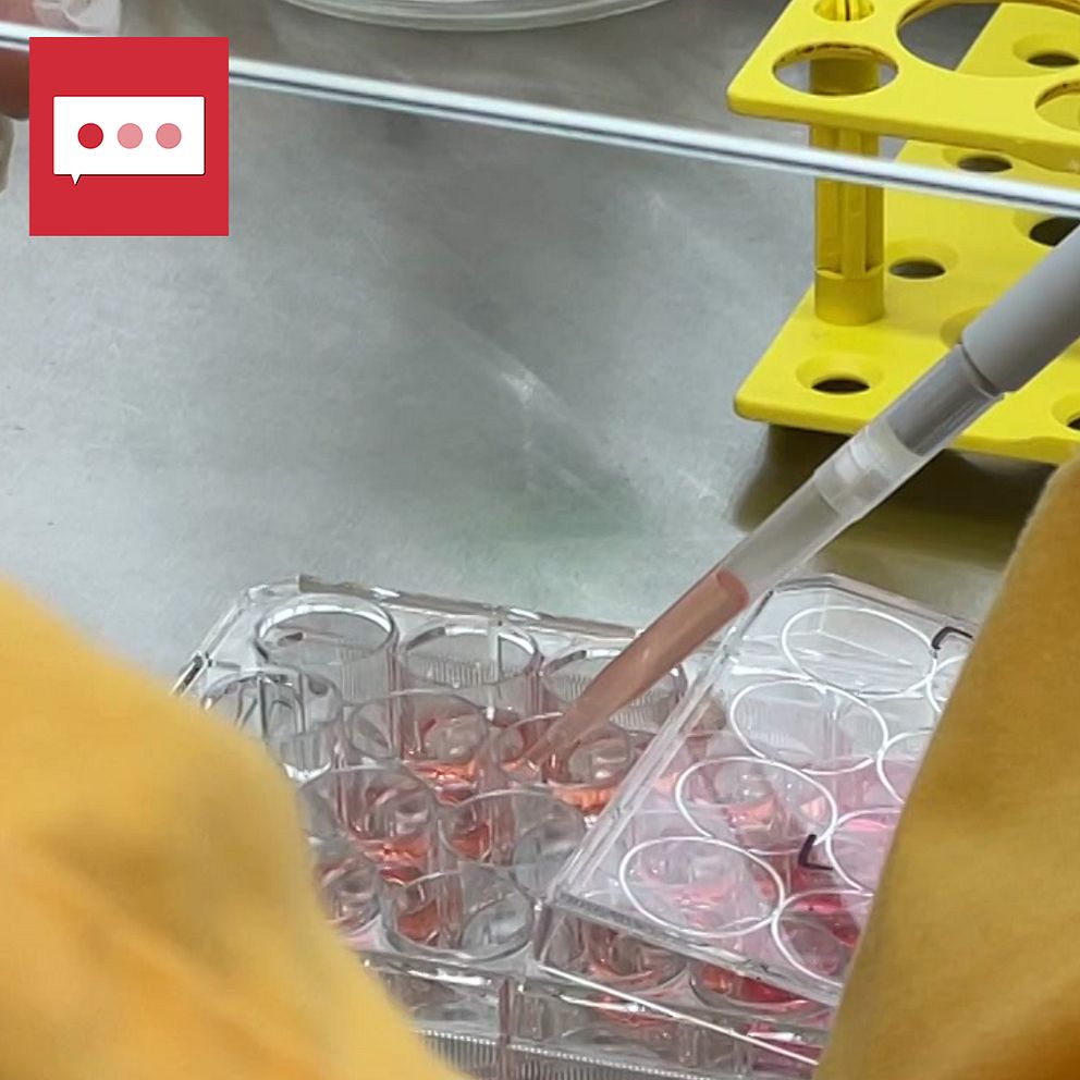 Forskare använder pipett för att mata celler i ett laboratorium på Lunds universitet.