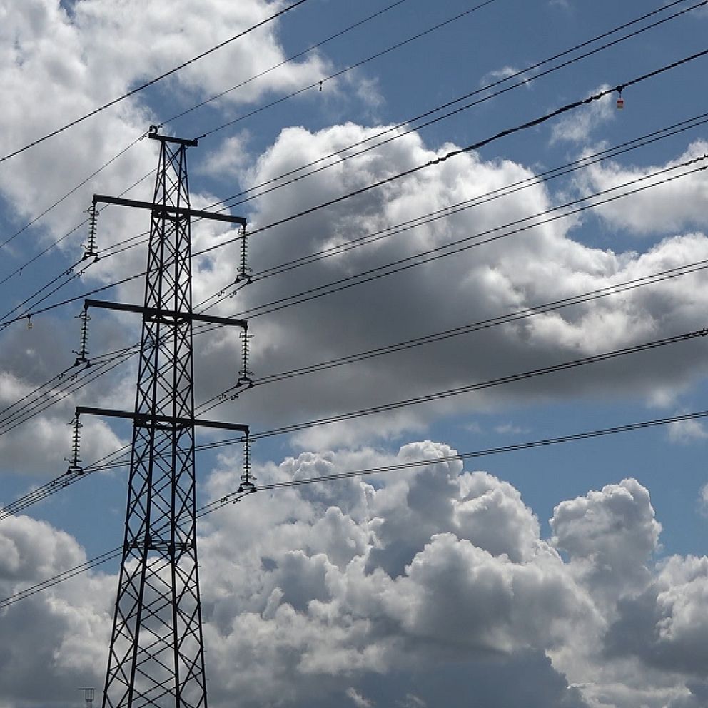 Svanar och gäss orsakar strömavbrott – här sätts fågelskrämmare upp på ...