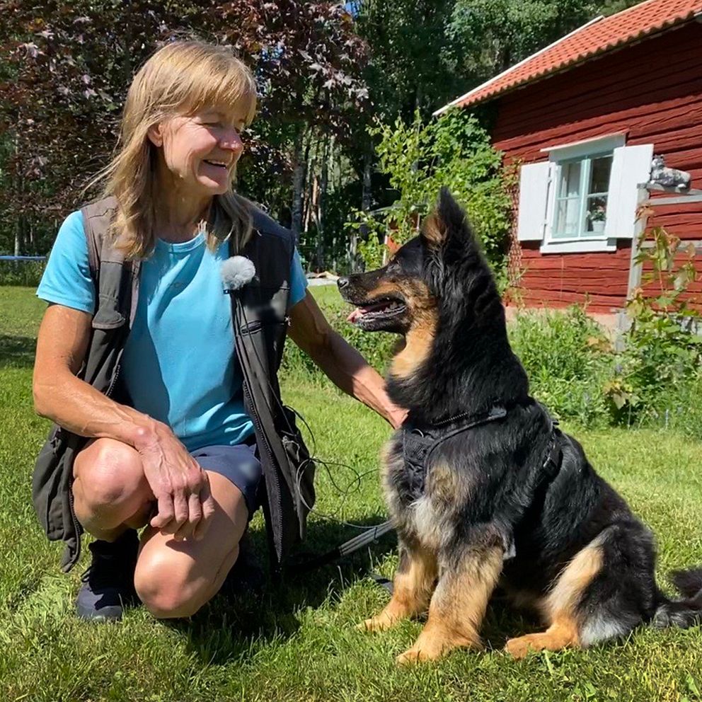 En kvinna springer med sin hund, de tränar agility, på midsommar i Strängnäs.