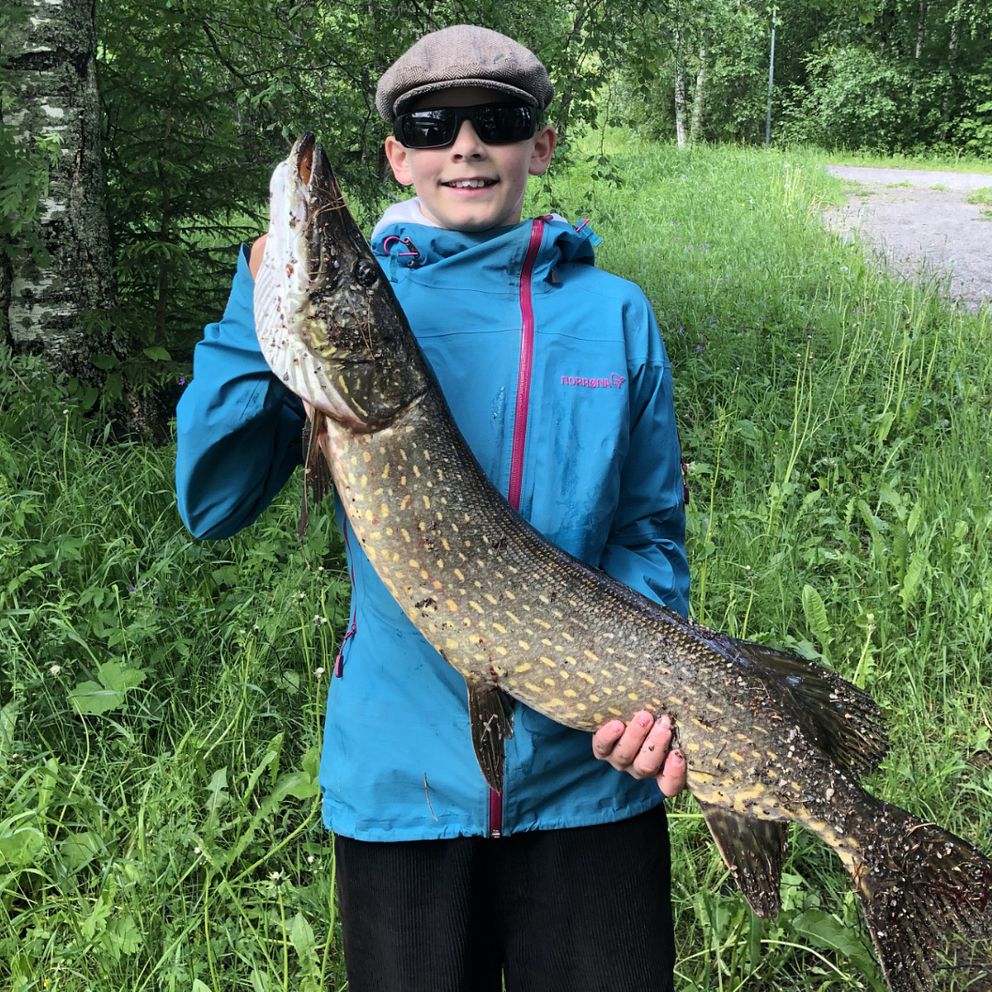 Folke Eriksson Fiskade upp en gädda på ca 7 kilo i sidsjön.