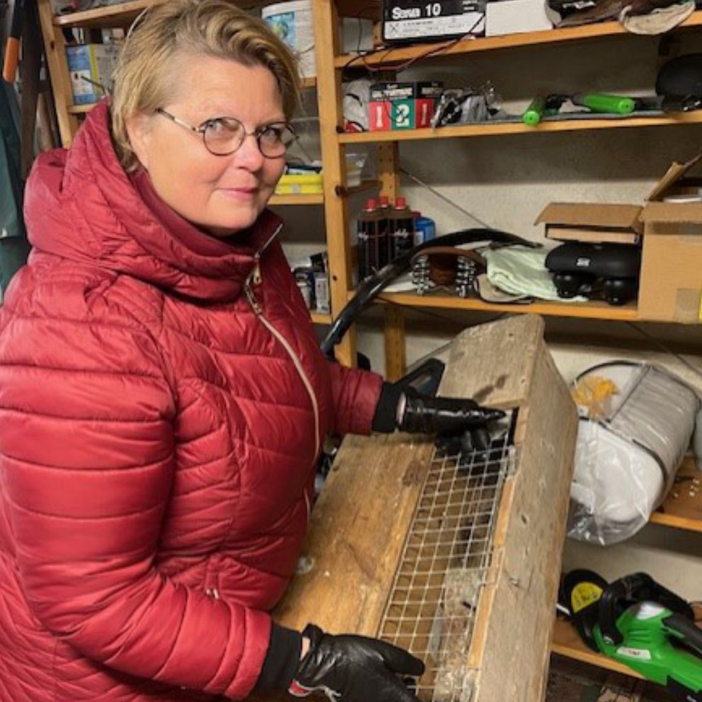 Susanne Resmark håller i en stor råttfälla.