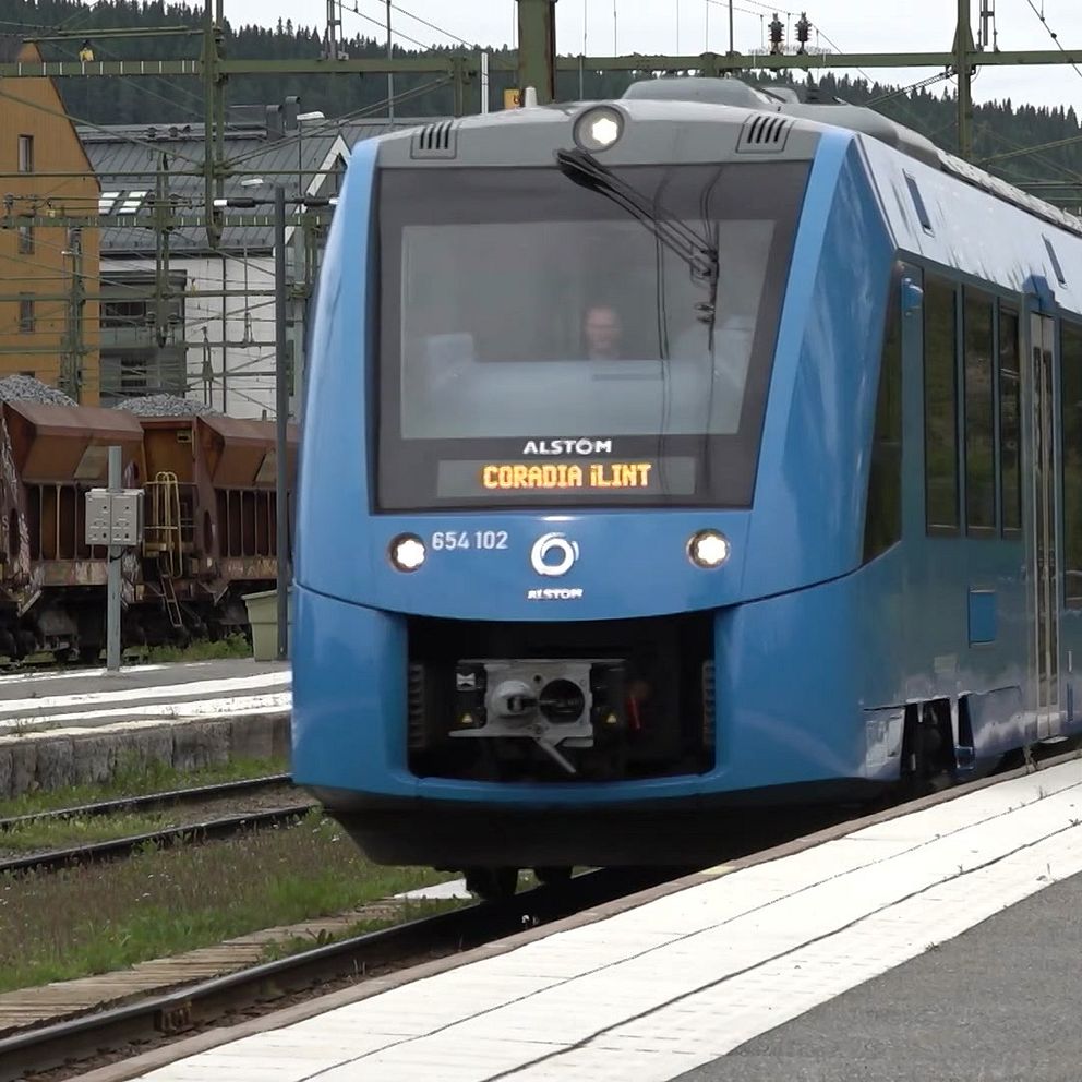 Ett vätgaståg som är på väg in på perrongen, till vänster syns bebyggelse och till höger syns grön växtlighet.
