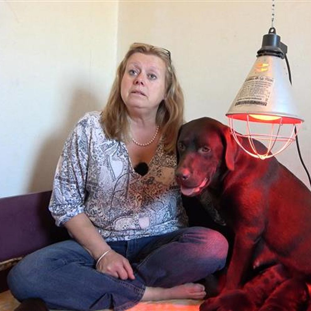 Hunduppfödaren, Susanne Ekstedt, med en labrador.