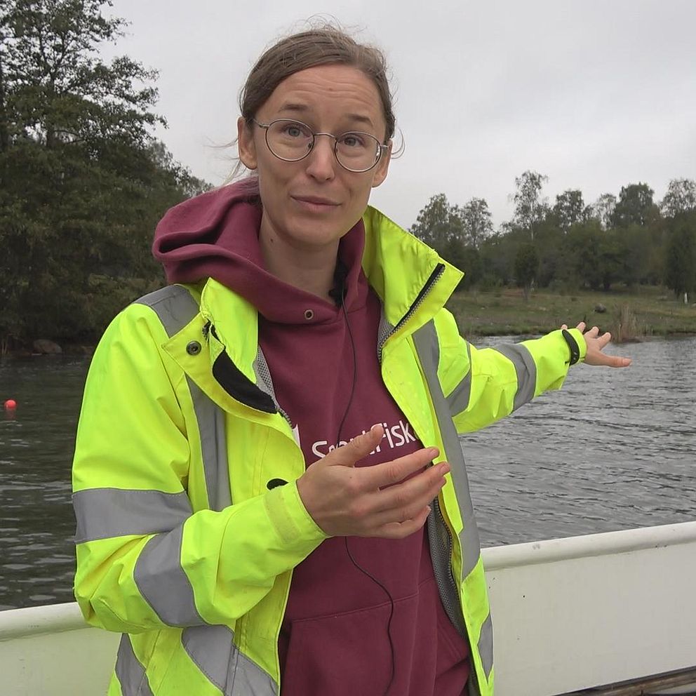 Malin Kjellin, projektledare för förbundet Sportfiskarna, visar det artificiella stenrevet