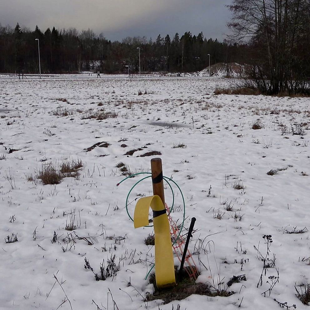 En ensam gul synlig markering i en snötäckt äng med sparsamt med växtlighet. Bakgrunden visar en skog och en grå himmel.