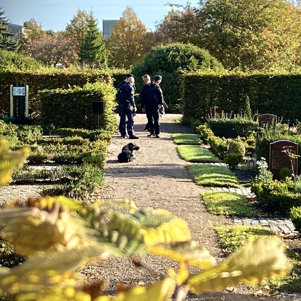 En begravningsplats med häckar och blommor. Tre poliser står på en grusgång och pratar, medan en hund sitter på marken. Omgivningen har höstfärger med träd i bakgrunden.