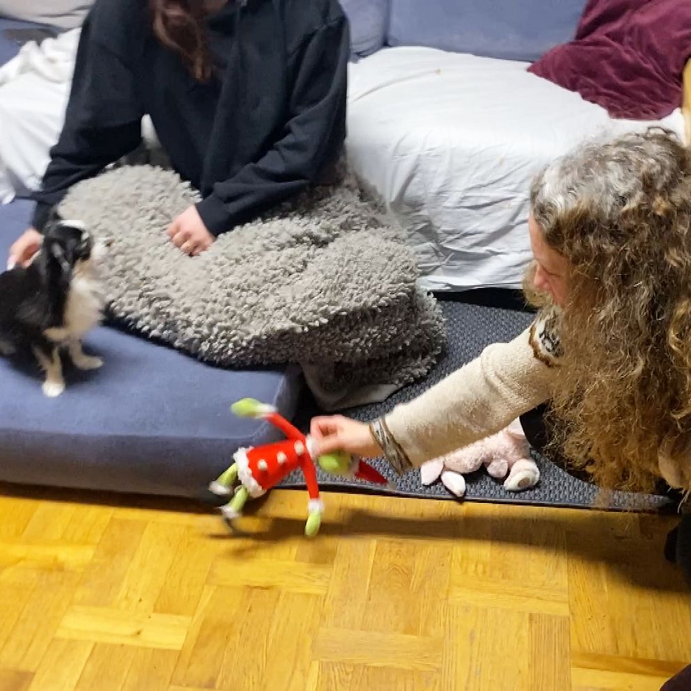 En kvinna med lockigt hår leker med en leksak framför en liten katt som sitter på en soffa. I bakgrunden syns en annan person som sitter på soffan, omgiven av filtar. Rummet verkar vara en hemtrevlig vardagsmiljö.