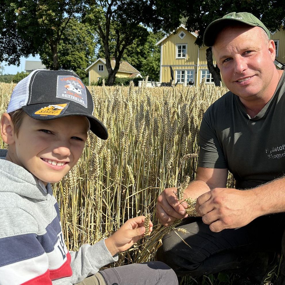 Lantbrukaren David Brogård i med sin son Ivan. De sitter på huk framför axen, båda klädda i keps.