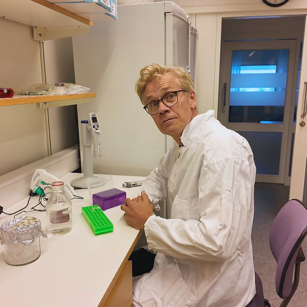 Umeåforskare vill avslöja bloddoping – med hjälp av AI | SVT Nyheter