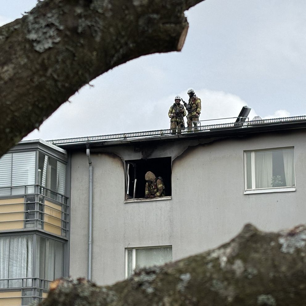 Brandmän står på taket vid en utbränd lägenhet, trädgren syns i förgrunden.