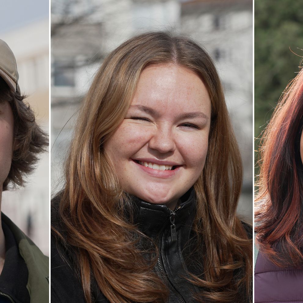 Tredelad bild: En person med keps, en med lång blond hår, en med rödbrunt hår i olika utomhusmiljöer.