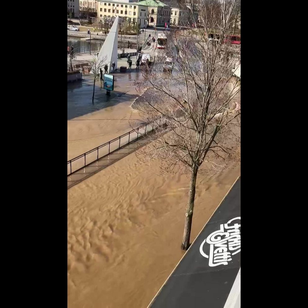 Översvämmad gata med vatten upp till trottoaren. Ett träd står vid vattenkanten.