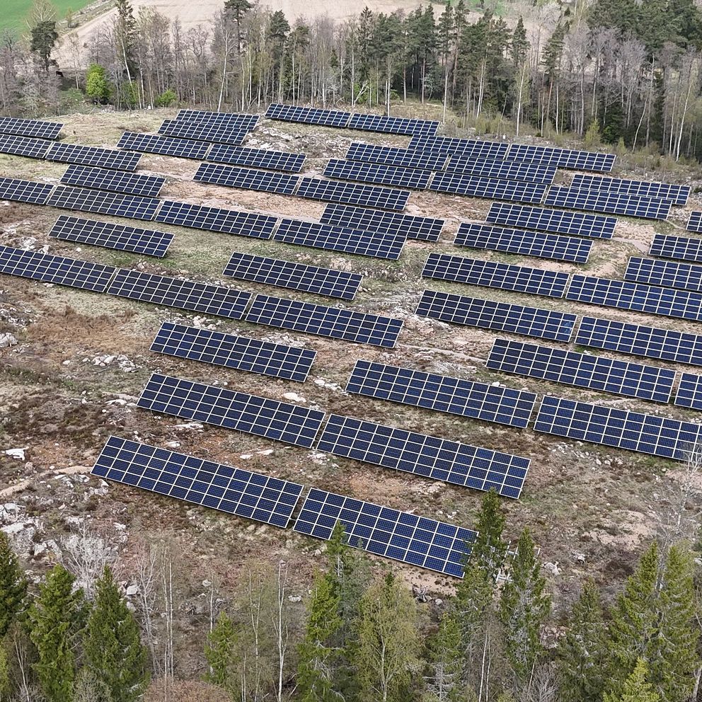 Solcellspark bredvid skog och äng, sett från ovan.