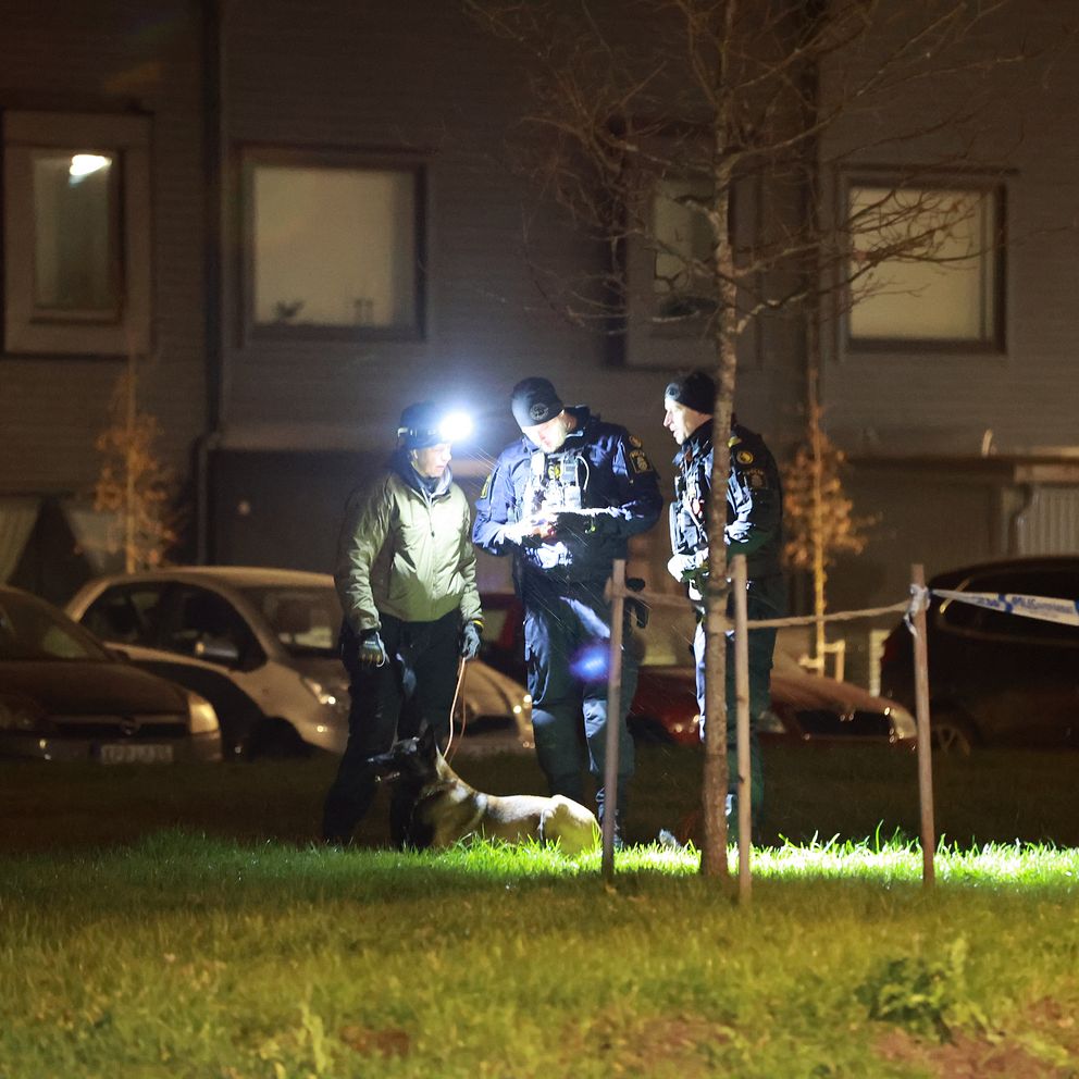 Poliser och polishund