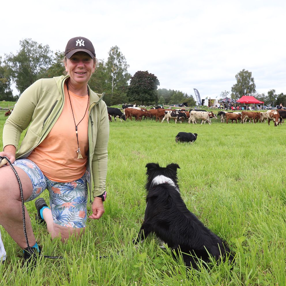 Vallningstävling i Knutby. På bilden: Viktoria Fornander och hunden Ultra.