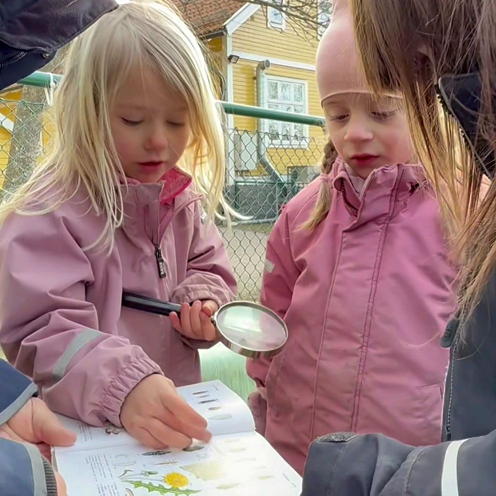 Tre barn tittar i en bok om blommor.