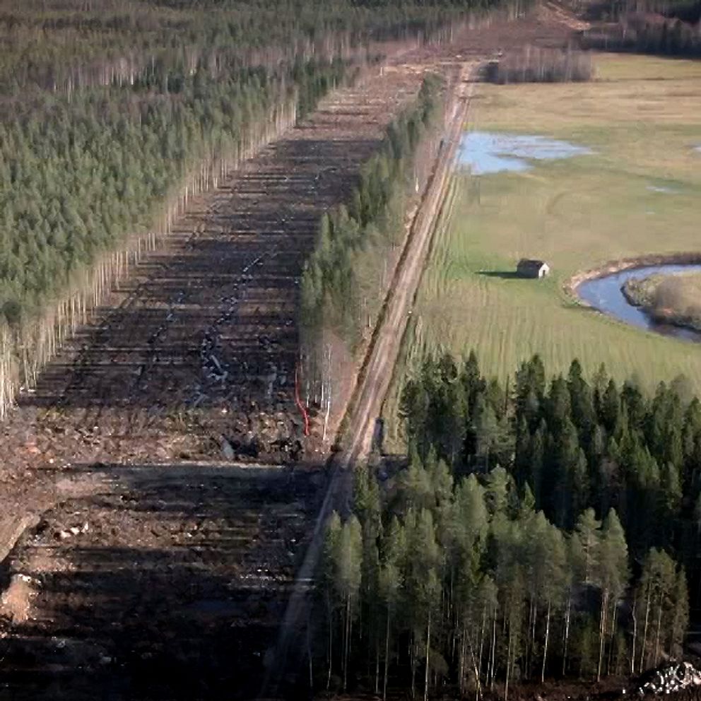 Flygbild över ett skogsområde där en bred väg röjts upp.