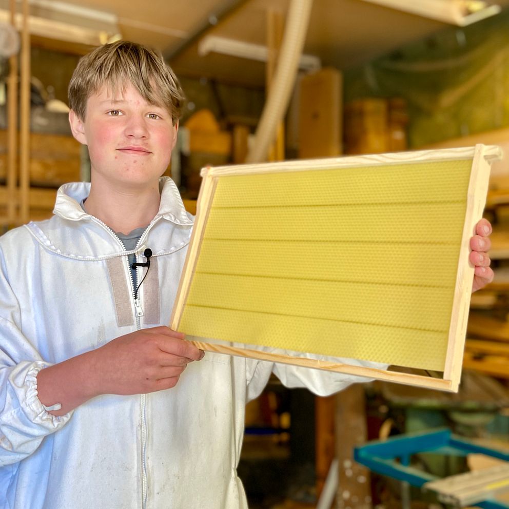 Biodlaren Noa Öjemark håller fram en ram till en bikupa.