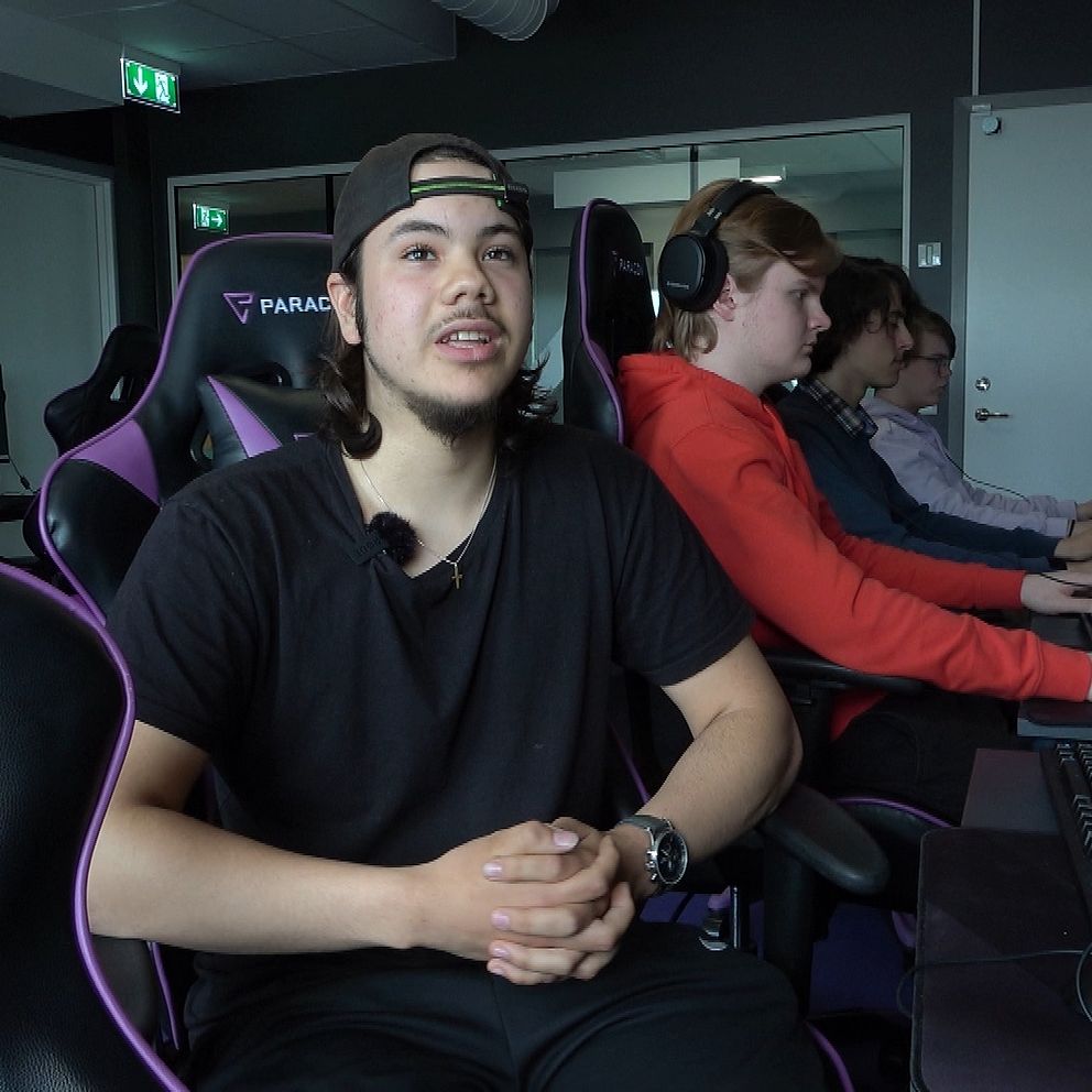 Några kilar sitter i gamingstolar på en rad framför datorskärmar.