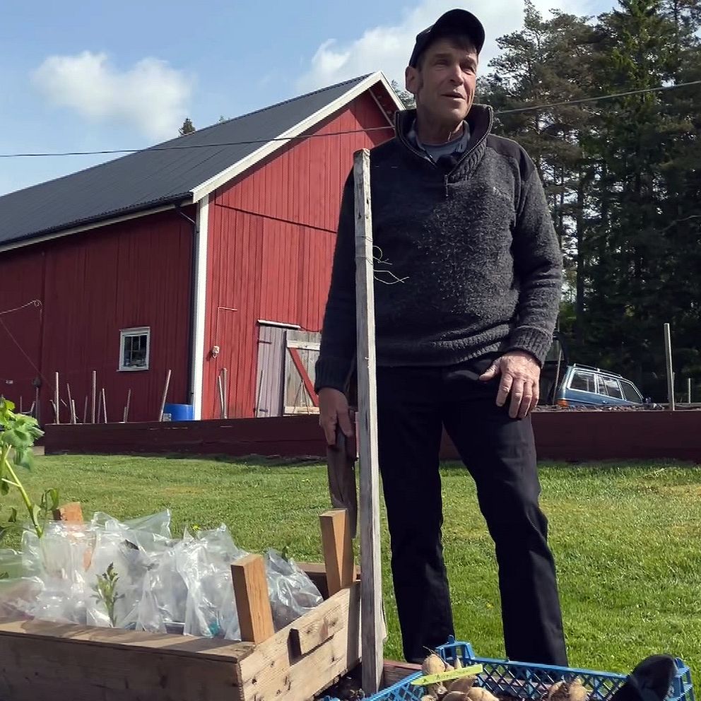 man står intill odlingslåda. framför honom står backar med växter som ska planteras