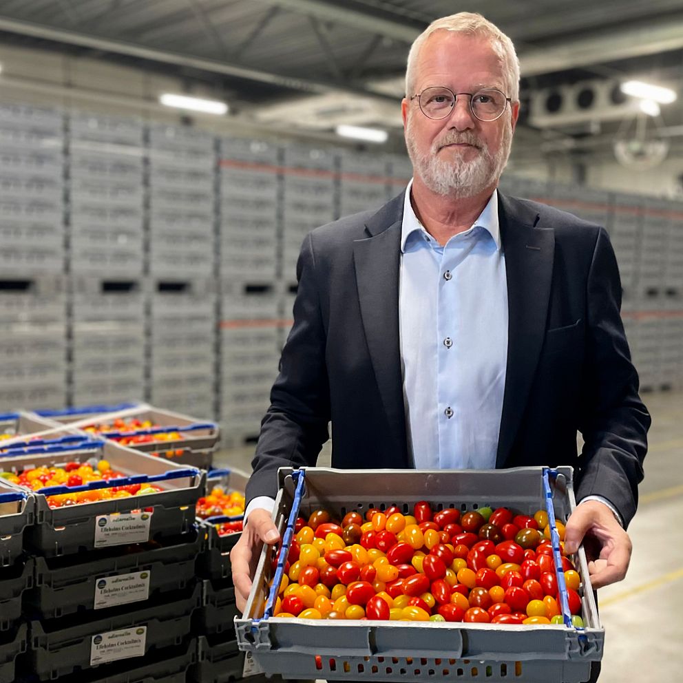 Thomas Lilja,ordförande i svenska odlarlaget och tomatodlare i Ellesholm håller i en back av hans egna tomater inne i svenska odlarlagets lagerlokal i Helsingborg.