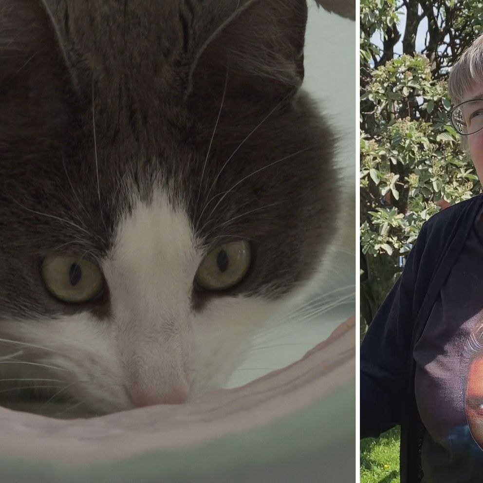 Birgitta Carlsson kattkommando Syd och en katt.