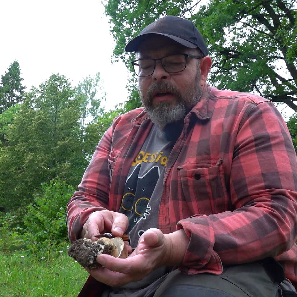 En man med rödsvartrutig skjorta, keps och glasögon håller upp en svamp för kameran.