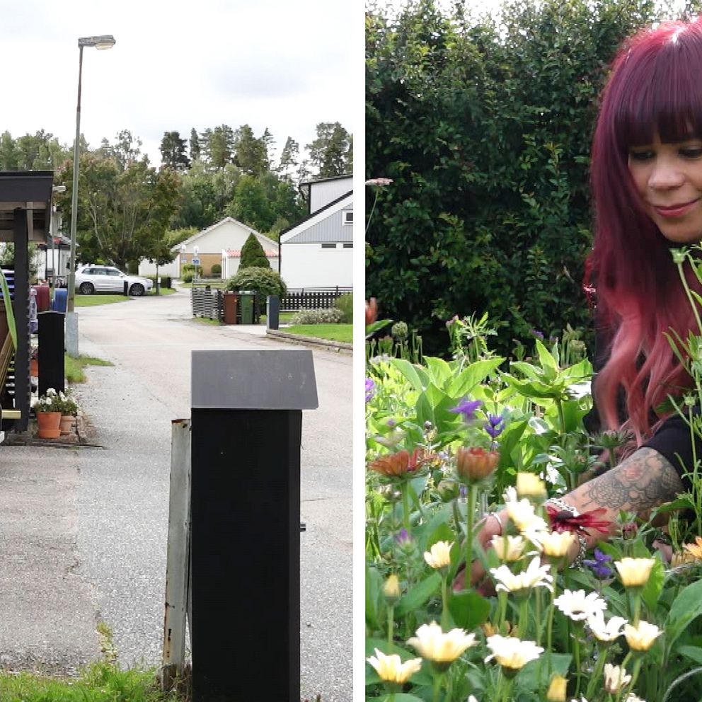Delad bild. Till vänster: Blombuketter i vaser på en uppfart. Till höger: Sofie Bäckström, en kvinna med rött hår, plockar blommor i en trädgård.