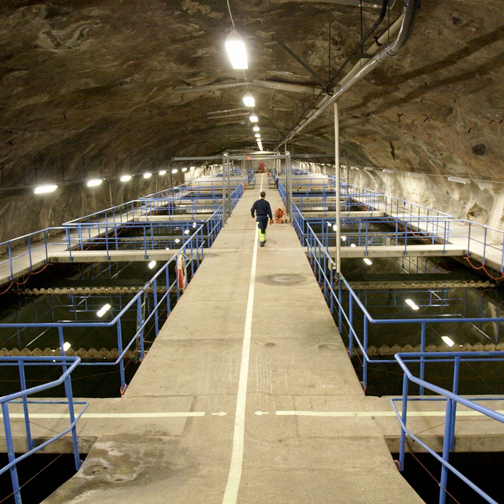 Bild från reningsverket Tivoliverket under jord i Sundvalls kommun. En person går i mitten av en gång med bassänger på sidan.