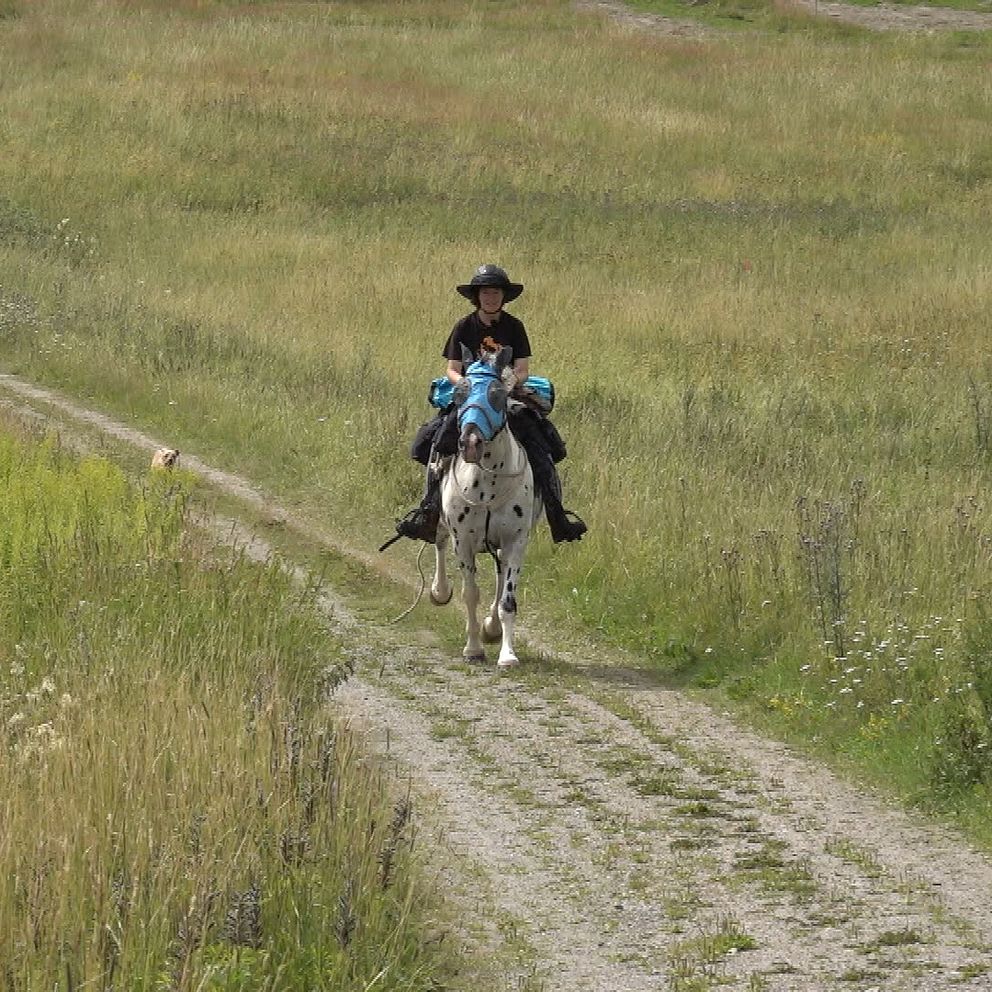 Kvinna i hatt rider på häst på grusväg mellan fält.
