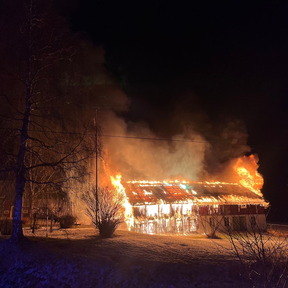 Brand i en ladugård.