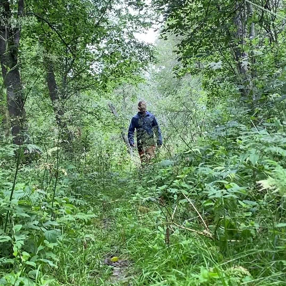 Ilska över igenväxta vandringsleder i Säterdalen – ”Får slå sig fram ...